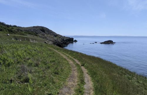 A winding dirt path leads along a grassy shore, with calm water and distant hills under a clear blue sky.