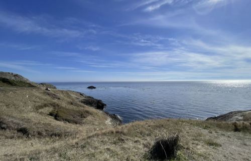 A serene coastal landscape with grassy hills overlooking a calm ocean under a clear blue sky.