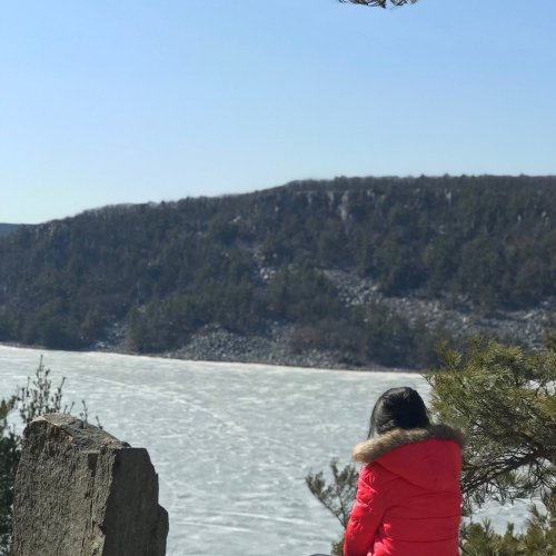 A person in a red jacket stands by a river, overlooking a scenic landscape of hills and trees.
