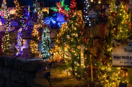 Colorful holiday lights adorn decorated trees along a stone wall, creating a festive atmosphere.