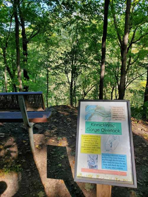 A scenic overlook at Kinnickinnic Gorge, featuring a bench and an informational sign among lush green trees.