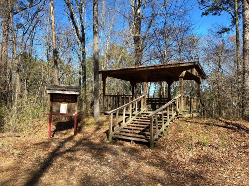 A wooden gazebo with stairs in a wooded area, surrounded by trees and fallen leaves, under a clear blue sky.