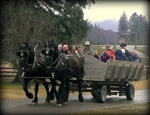 A horse-drawn wagon carries a group of people along a rural road, surrounded by trees and mountains in the background.