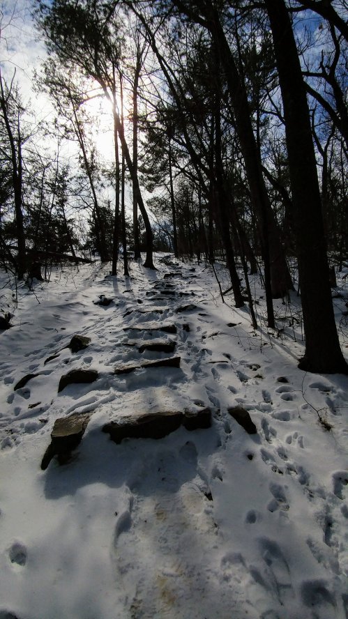 A snowy trail with stone steps leads through a forest, illuminated by sunlight filtering through the trees.