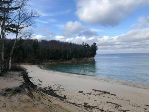 A serene beach scene with sandy shore, calm water, and trees lining the coastline under a cloudy sky.