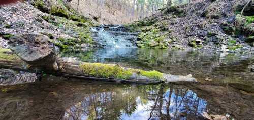 A serene forest scene featuring a small waterfall cascading into a calm pool, surrounded by mossy rocks and trees.