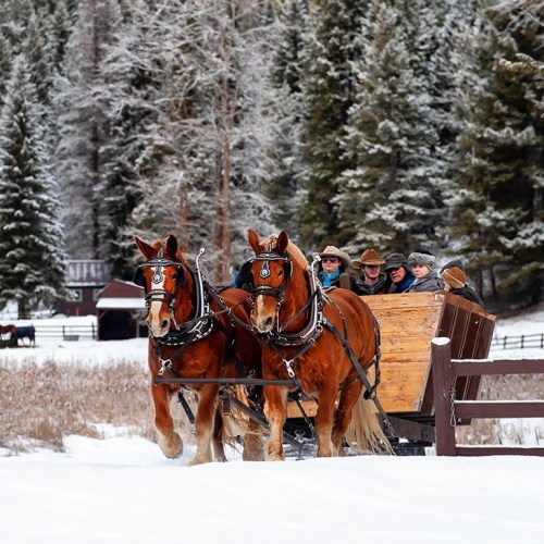 Two horses pull a wooden sleigh through a snowy landscape, with people enjoying the ride in the background.