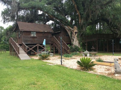 A rustic wooden cabin on stilts surrounded by greenery and a gravel area with plants and a fountain.