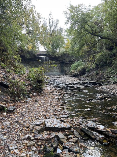 A serene creek surrounded by trees, with rocky banks and a small waterfall in the background.