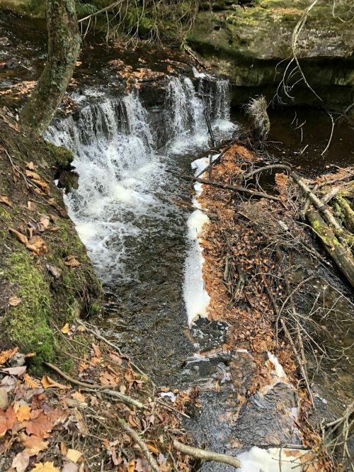 A small waterfall cascades over rocks, surrounded by autumn leaves and fallen branches in a serene forest setting.
