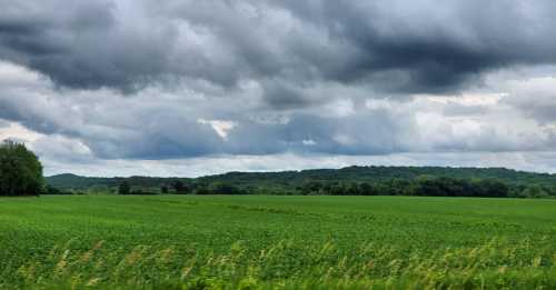 A lush green field under a cloudy sky, with rolling hills in the background.