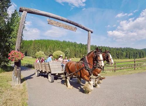 A horse-drawn wagon carries passengers under a wooden sign, surrounded by lush greenery and blue skies.