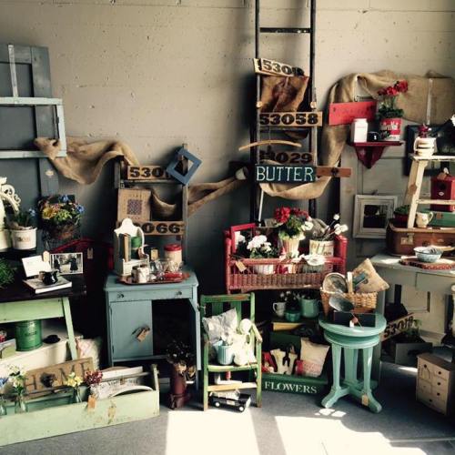 A cozy display of vintage decor items, plants, and signs arranged on shelves and tables in a rustic setting.