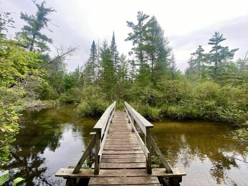 A wooden bridge spans a calm stream, surrounded by lush greenery and tall trees under a cloudy sky.