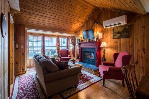 Cozy living room with wooden walls, a fireplace, two armchairs, and large windows letting in natural light.