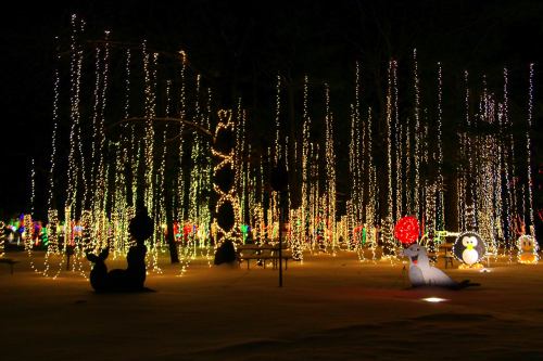 A winter scene with colorful holiday lights hanging from trees, illuminating a snowy landscape with festive decorations.