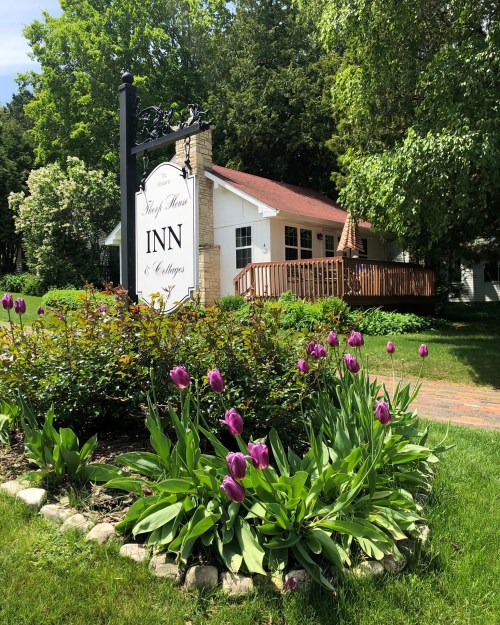 A charming inn with a sign, surrounded by vibrant purple tulips and lush greenery on a sunny day.