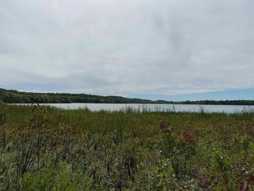 A serene lake surrounded by lush greenery and tall grasses under a cloudy sky.
