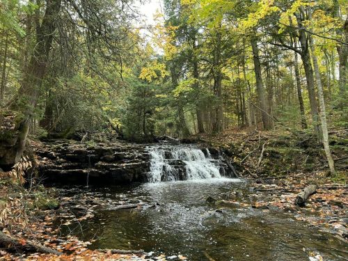 A serene forest scene featuring a small waterfall cascading into a tranquil pool, surrounded by autumn foliage.