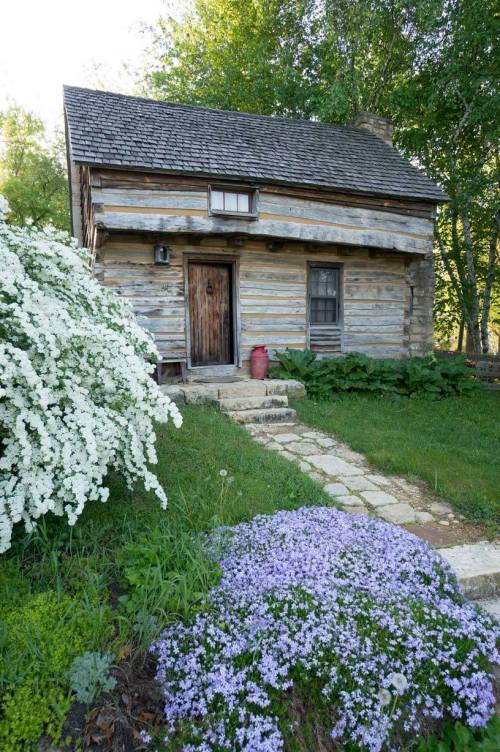 A rustic log cabin surrounded by greenery and blooming flowers, with a stone pathway leading to the door.