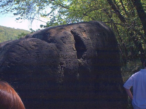 A large rock with ancient carvings, surrounded by trees in a natural setting.