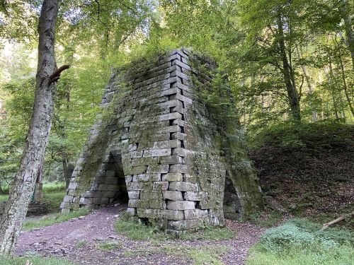 A moss-covered stone structure surrounded by trees in a lush forest.