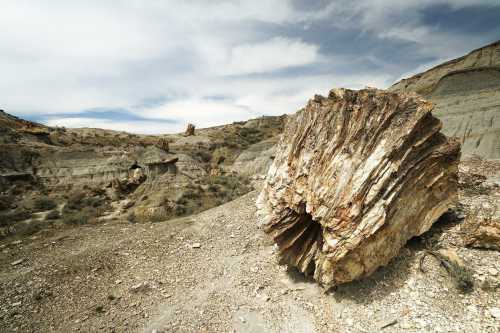 A large, weathered log-shaped fossil rests on a rocky landscape under a cloudy sky.