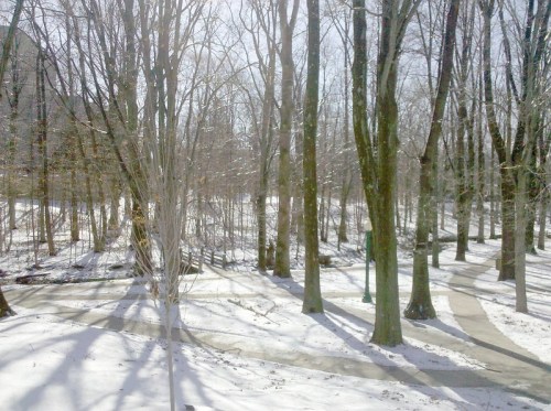 A snowy landscape with bare trees and winding paths, illuminated by bright sunlight.