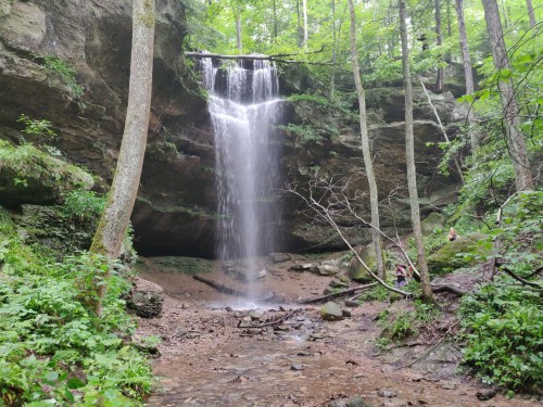 A serene waterfall cascades down rocky cliffs, surrounded by lush green trees and foliage in a tranquil forest setting.