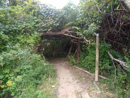 A narrow, overgrown path leads through dense greenery, with a wooden post marking the trail entrance.