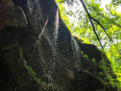 Water droplets cascade down a rocky cliff, surrounded by lush green foliage and sunlight filtering through the trees.