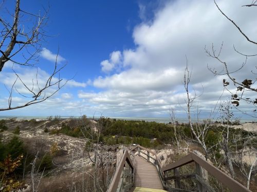 A wooden walkway leads through a landscape of dunes and sparse trees under a cloudy blue sky.