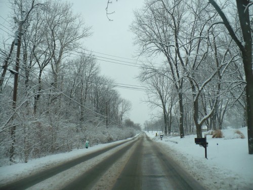 A snowy road lined with bare trees, creating a serene winter landscape under a gray sky.