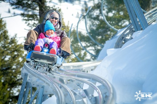 A man and a child joyfully ride a snowy mountain coaster, surrounded by trees and winter scenery.