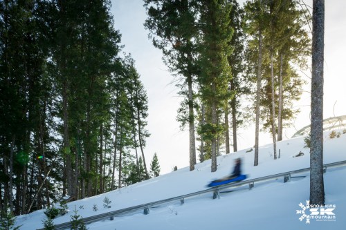 A blurred figure sledding down a snowy slope, surrounded by tall evergreen trees under a bright sky.