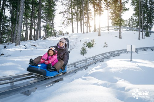 A woman and child enjoy a snowy ride on a mountain coaster, surrounded by trees and sunlight.
