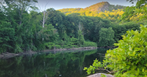 Lush green trees surround a calm river, reflecting the vibrant colors of the landscape and a distant mountain.