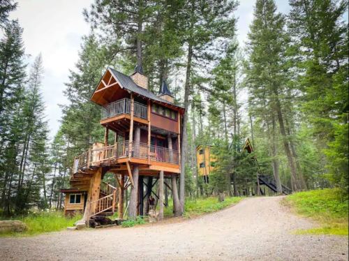 A unique treehouse structure surrounded by tall trees, with a gravel path leading through a forested area.