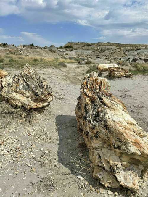 A rocky landscape with large petrified wood pieces scattered across a dry, sandy terrain under a cloudy sky.