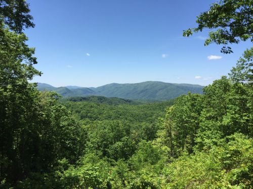 A panoramic view of lush green mountains under a clear blue sky, with trees in the foreground.