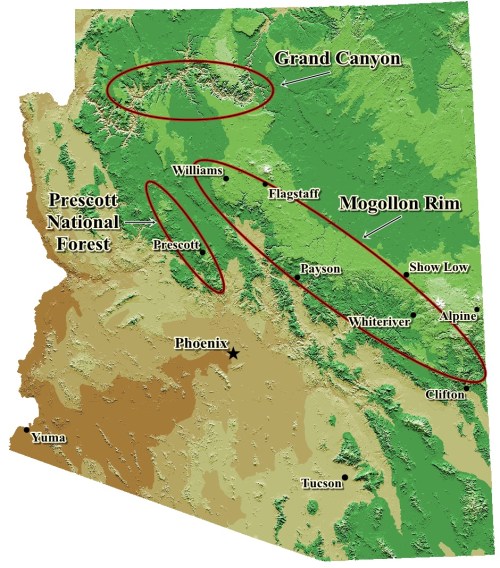 Map of Arizona highlighting key locations: Grand Canyon, Prescott National Forest, Williams, Flagstaff, and Mogollon Rim.