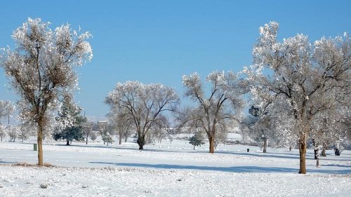 A serene winter landscape with snow-covered trees under a clear blue sky.