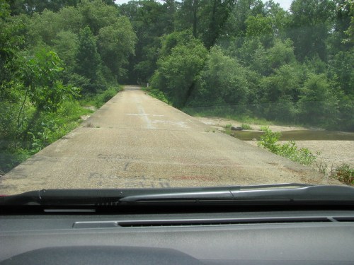 A view of a deserted, overgrown road surrounded by trees, seen from inside a car.