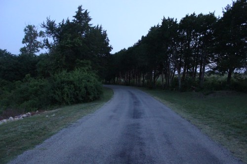 A winding road surrounded by trees at dusk, leading into a darkened area.