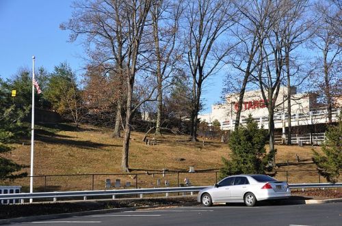 A white car parked near a grassy area with trees, featuring a flagpole and a store in the background.