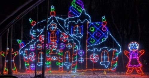 Colorful holiday lights decorate a whimsical gingerbread house with candy motifs and festive figures in a dark forest.