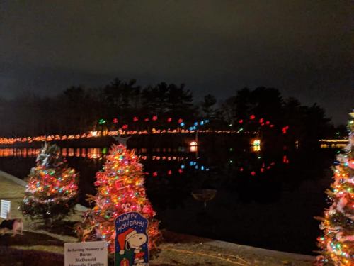 Colorful holiday lights reflect on a dark lake, with decorated Christmas trees in the foreground.