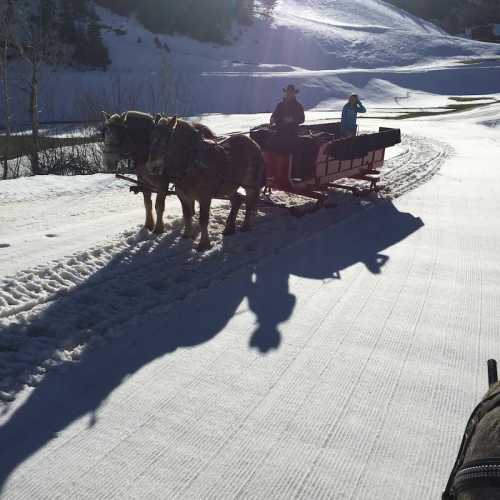 A horse-drawn sleigh on a snowy path, with a person in a hat and another in a blue dress enjoying the ride.