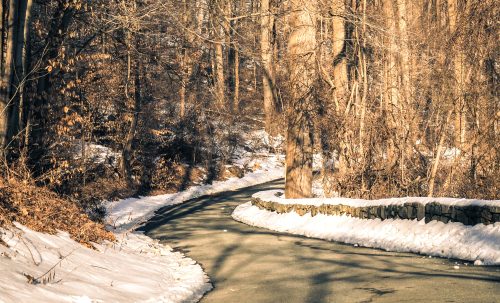 A winding road through a winter forest, lined with snow and bare trees, creating a serene, tranquil atmosphere.