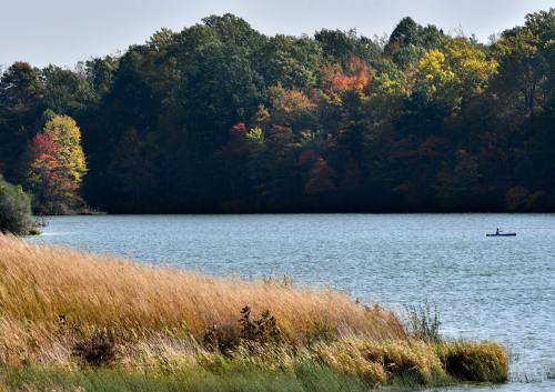 A serene lake surrounded by autumn-colored trees and tall grasses, with a lone kayaker paddling in the distance.